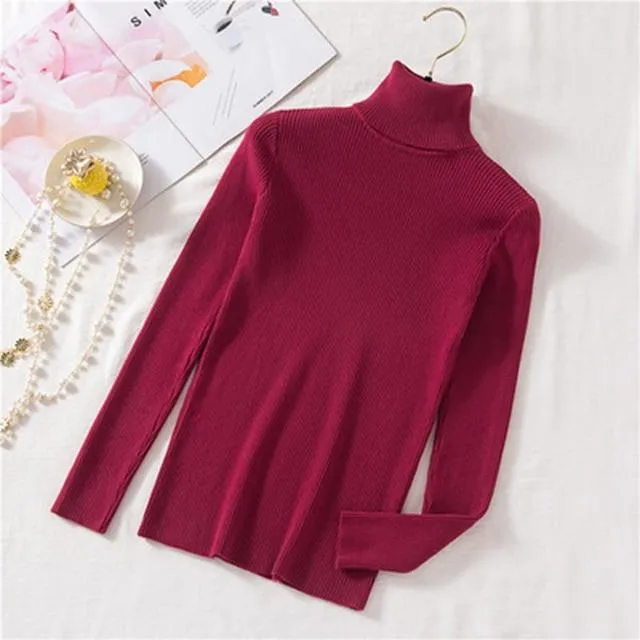 Autumn Winter Knitted Sweater Pullovers Turtleneck Sweater