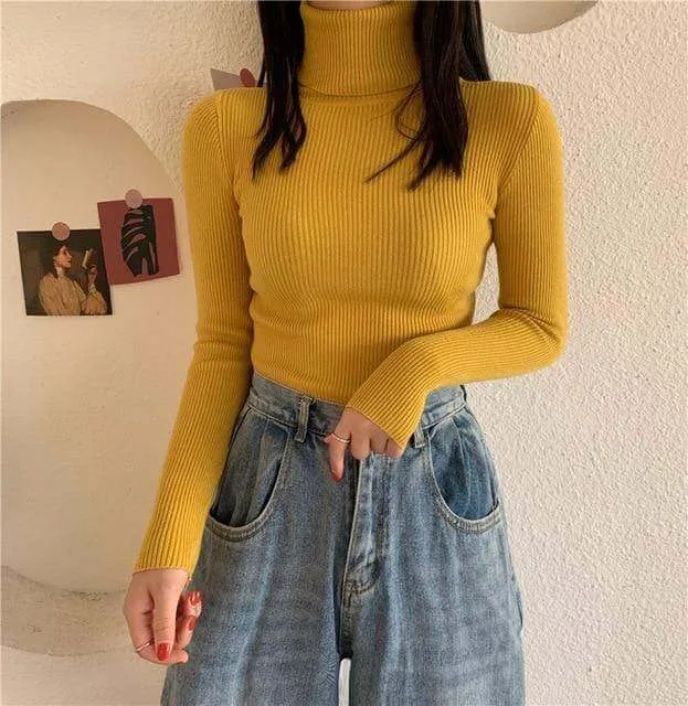 Autumn Winter Knitted Sweater Pullovers Turtleneck Sweater