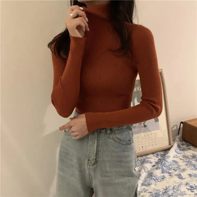 Autumn Winter Knitted Sweater Pullovers Turtleneck Sweater