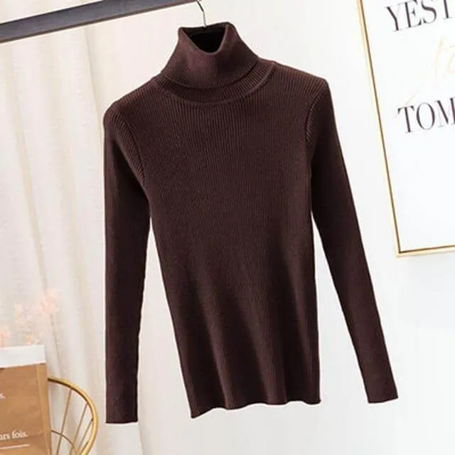 Autumn Winter Knitted Sweater Pullovers Turtleneck Sweater