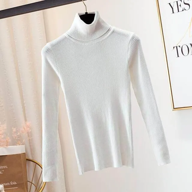 Autumn Winter Knitted Sweater Pullovers Turtleneck Sweater