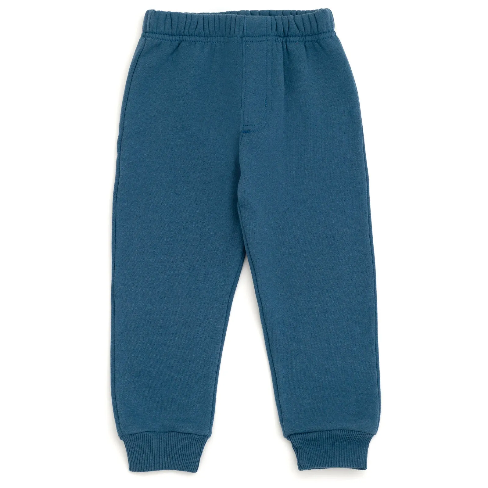 Bluey Fleece Pullover Hoodie and Jogger Pants Outfit Set