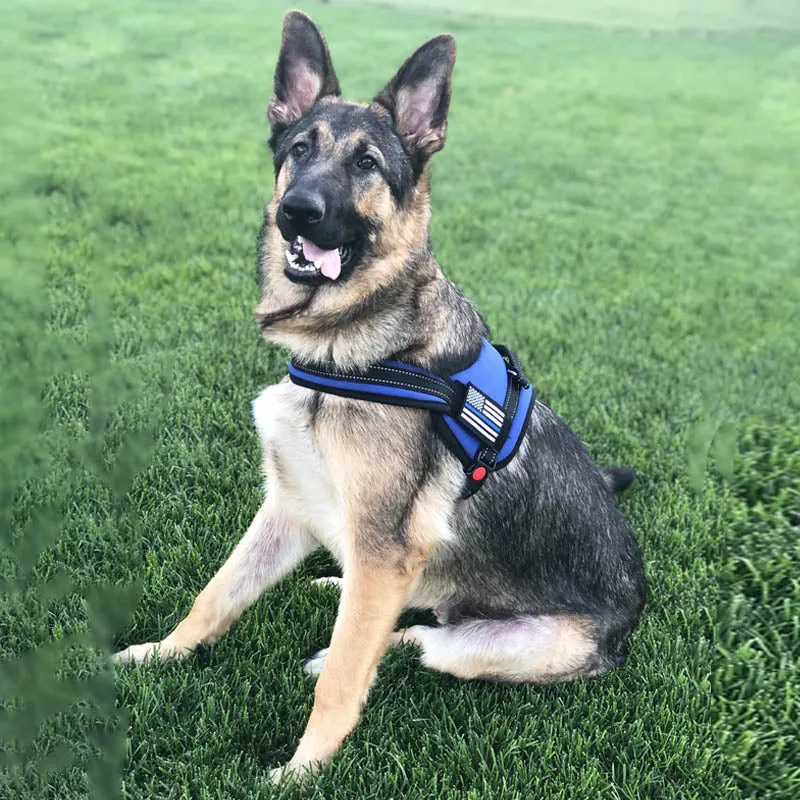 Dog Harness - Thin Blue Line