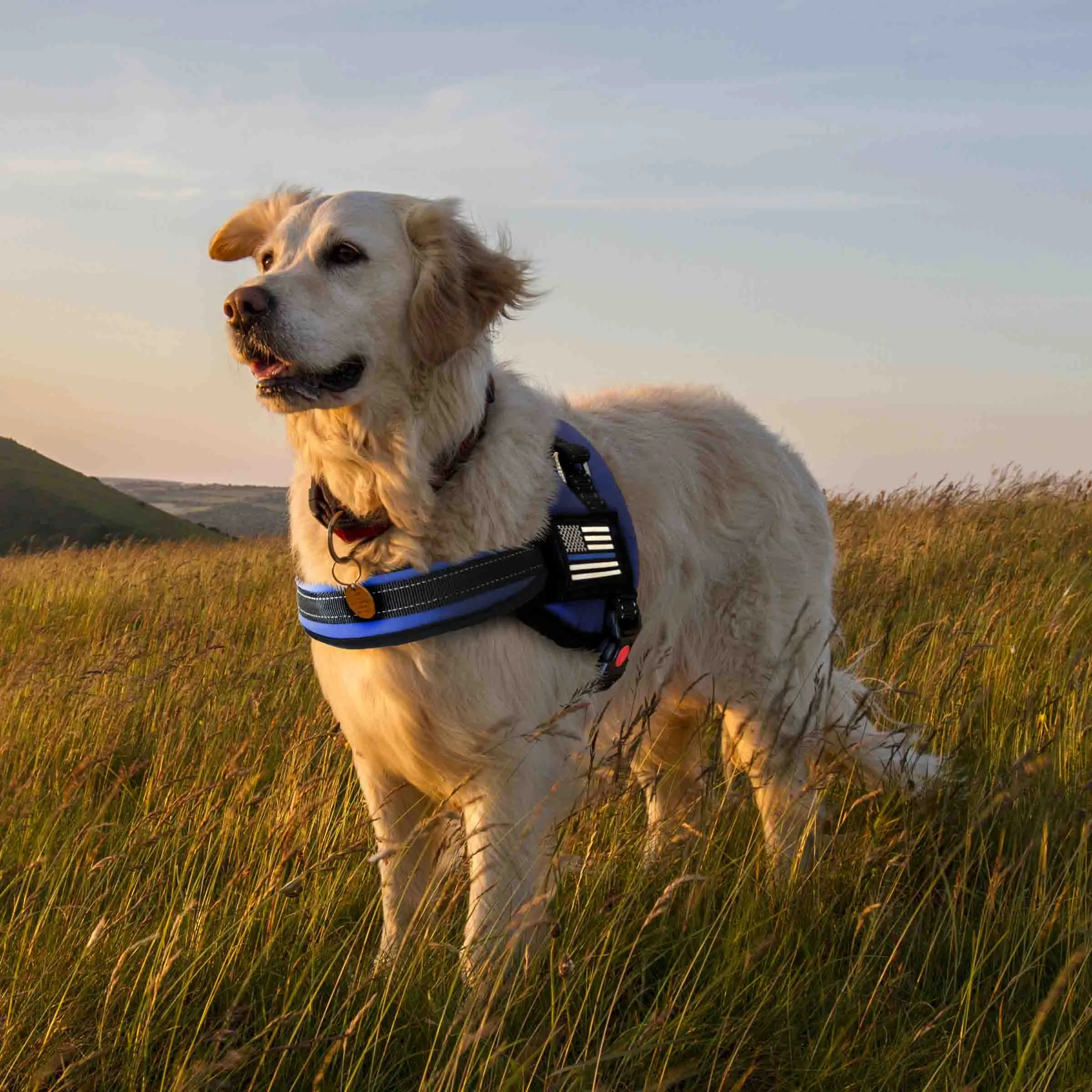 Dog Harness - Thin Blue Line
