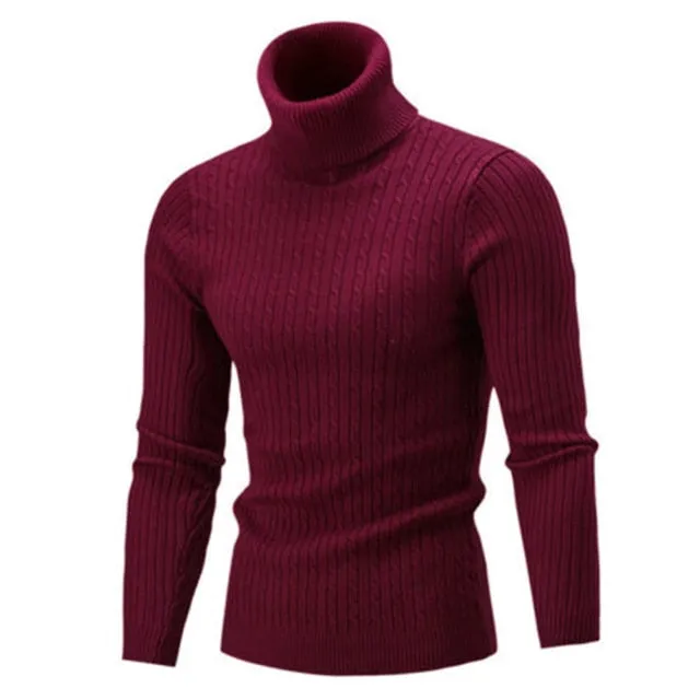 Solid Color Turtle Neck Long Sleeve Twist Knitted Slim Sweater