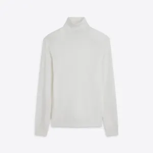 Super Merino Turtle Neck Solid Sweater